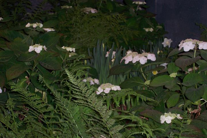 L_W 058.jpg